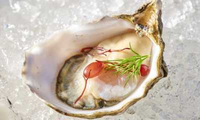 Coastal Kitchen