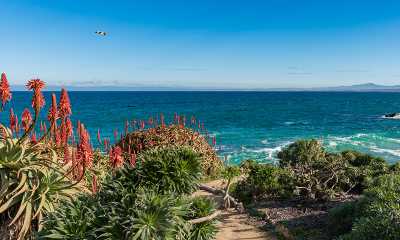 Simpleview Listings 360 Destination Group