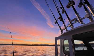 Blue Knuckles Sport Fishing Charter