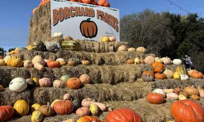 Borchard Farms