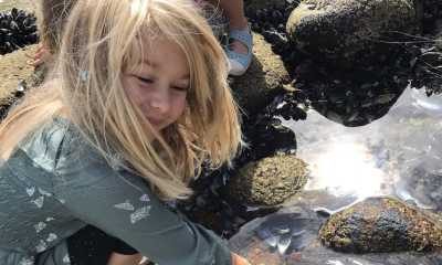 Travel Responsibly Scientific Summer Camps around the Corner for PG Museum
