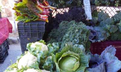 Carmel-by-the-Sea Farmer's Market