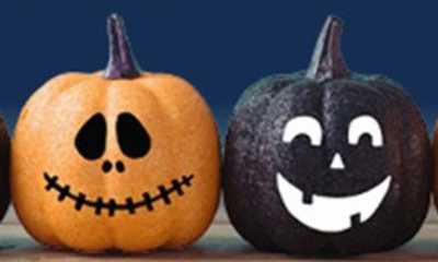 Monterey Annual Events