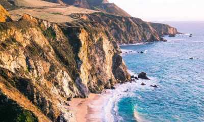 Carley Brother Tours