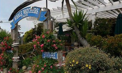 Whale Watcher Cafe