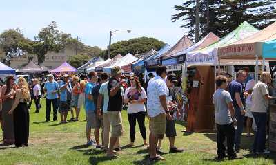 BayBrew Fest