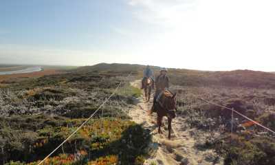 Monterey Bay Equestrian Center