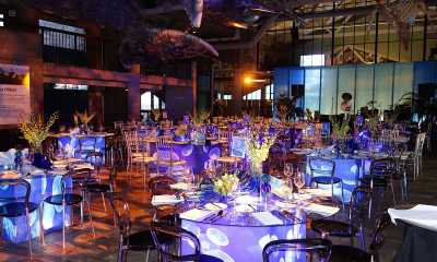 Wedding Planning Services Wedding Planning Services