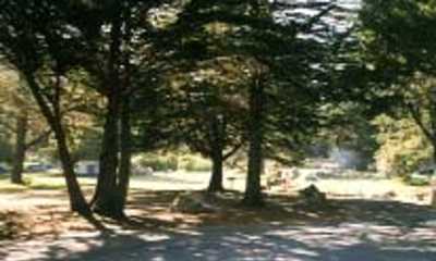 Plaskett Creek Campground