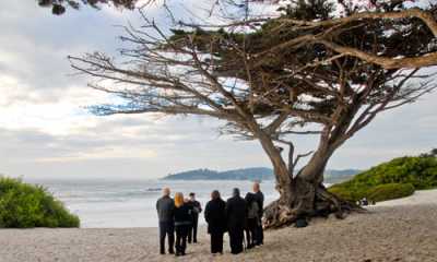 Wedding Planning Services Wedding Planning Services