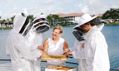 Bee Experience