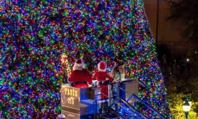 Celebración del encendido del árbol de Navidad de 100' en Delray Beach y feria navideña callejera