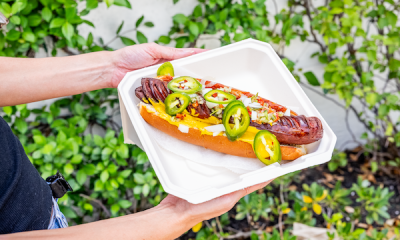 <trp-post-container data-trp-post-id='145130'>National Hot Dog Day</trp-post-container>