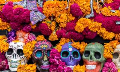 Art of Pairing: Day of The Dead with Don Julio