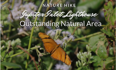 Caminhada na natureza ao nascer do sol: Jupiter Inlet Outstanding Natural Area