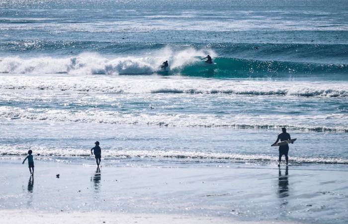 Monterey Attractions & Tours