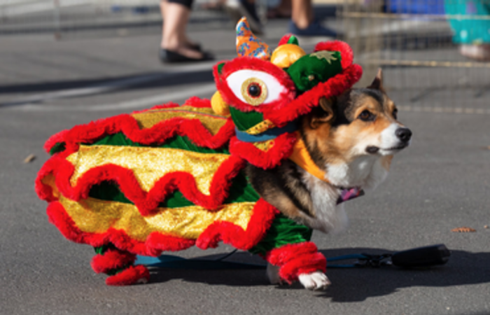 Things to Do This Weekend in Monterey Things to Do This Weekend in Monterey