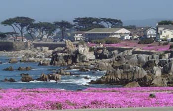 Pacific Grove Hotels