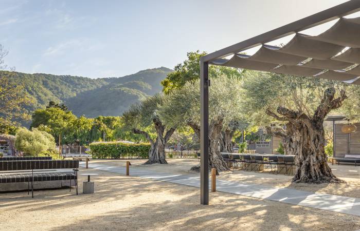 Carmel Valley Wineries