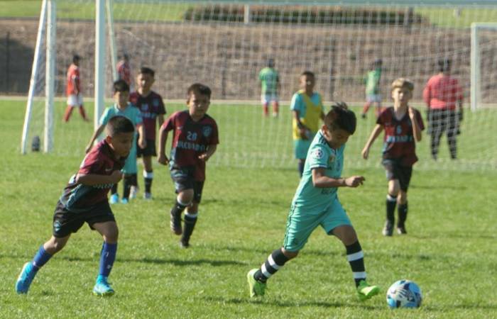 Monterey Attractions & Tours