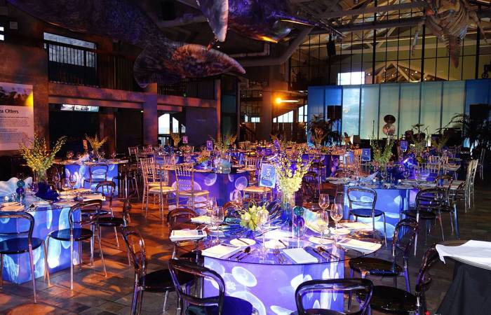 Wedding Planning Services Wedding Planning Services