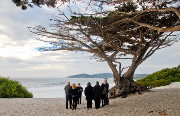 Wedding Planning Services Wedding Planning Services