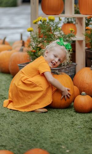 Pumpkin Patch