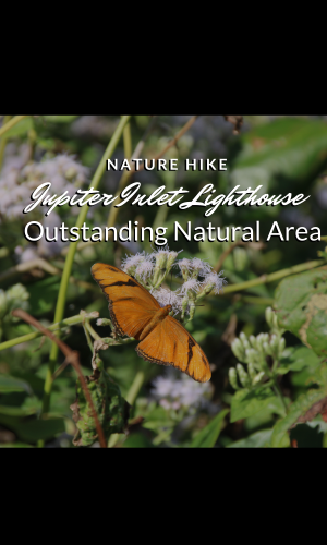 Caminhada pela natureza - Jupiter Inlet Lighthouse Outstanding Natural Area com River Center