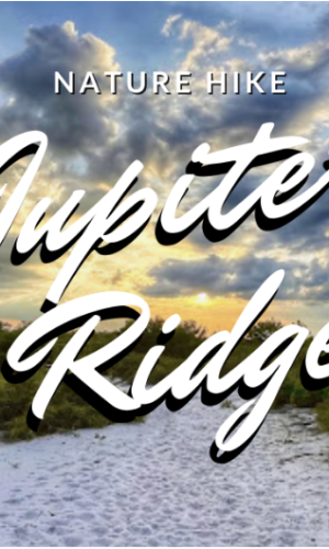 Paseo por la naturaleza al atardecer: Jupiter Ridge