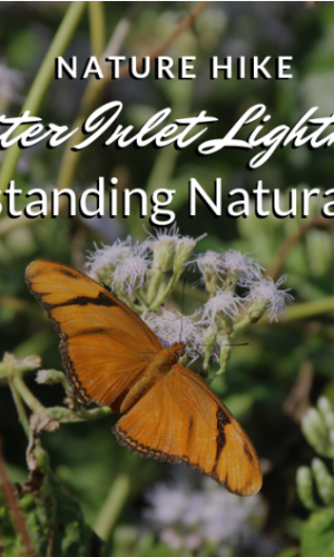 Sunrise Nature Hike: Jupiter Inlet Outstanding Natural Area