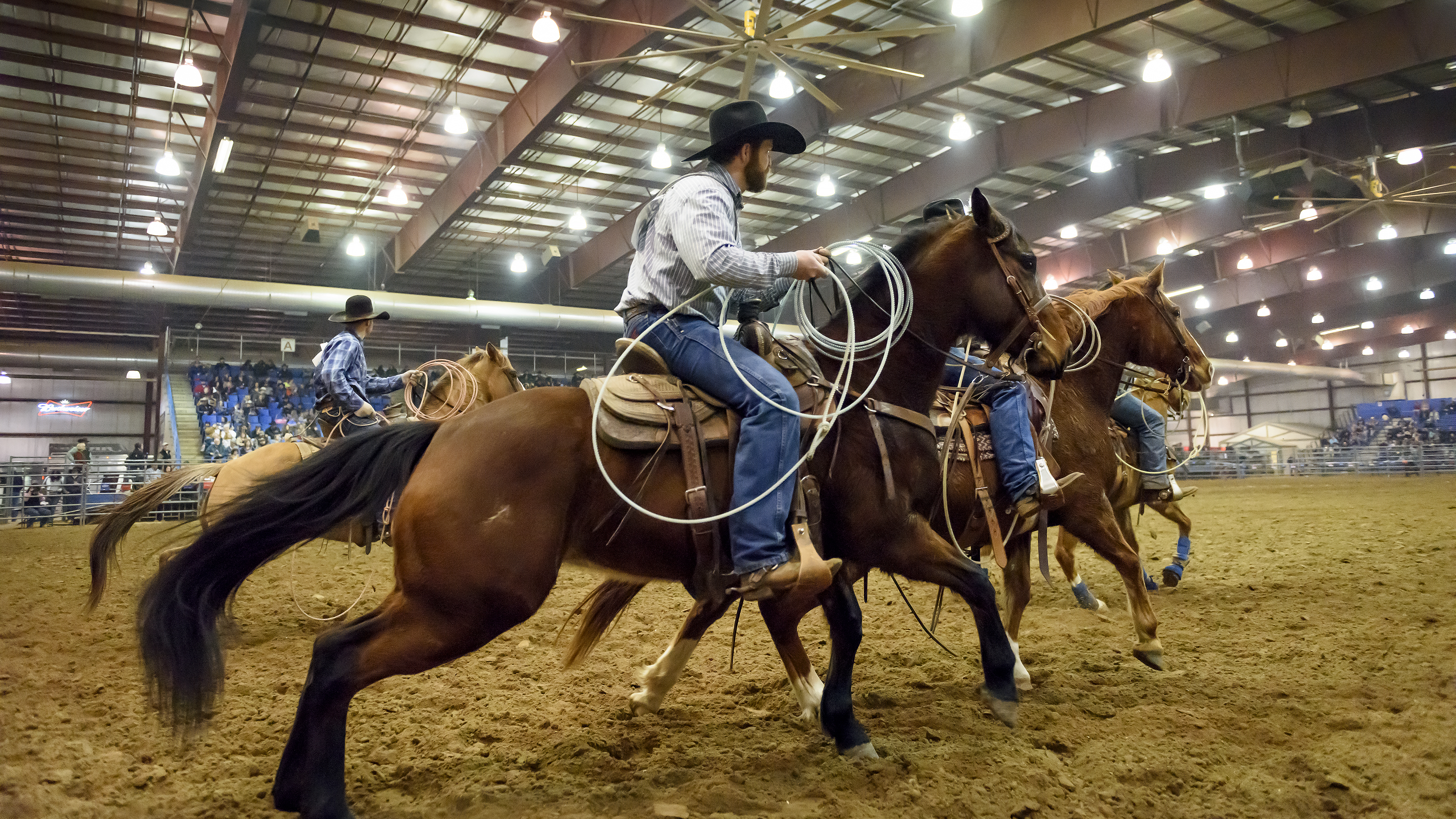 Black Hills Stock Show & Rodeo®