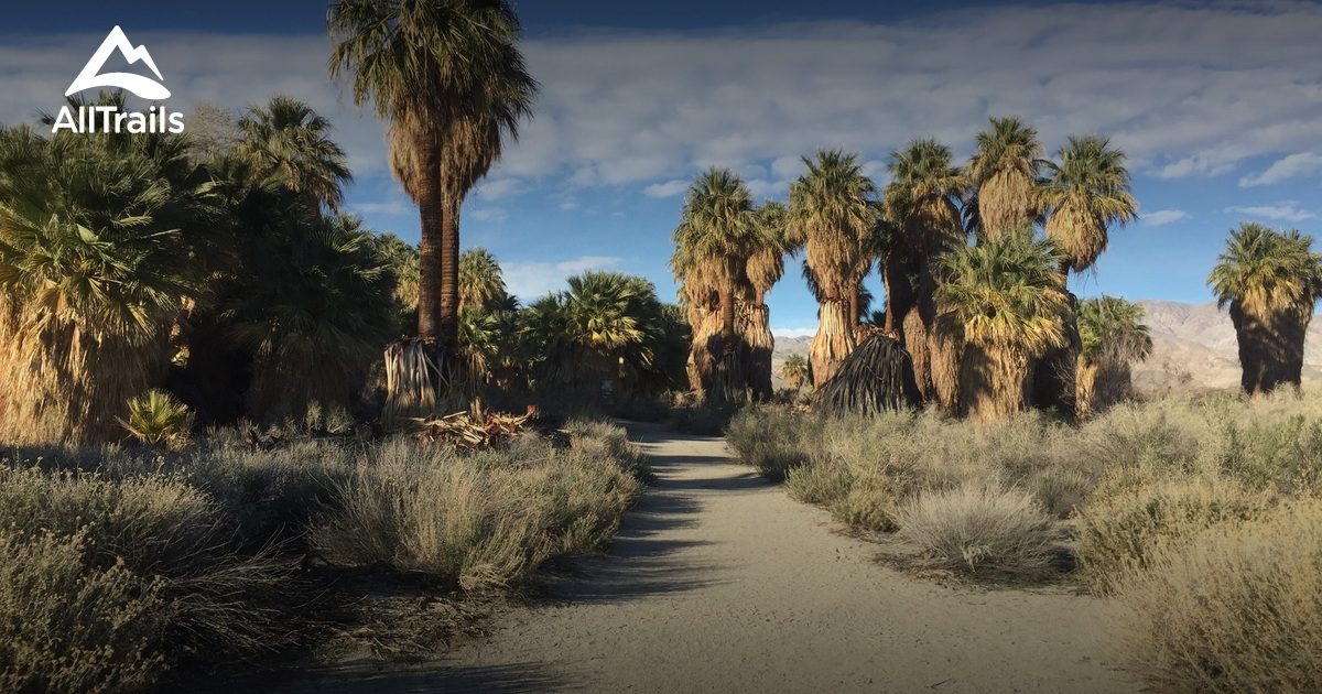 Coachella Valley Preserve