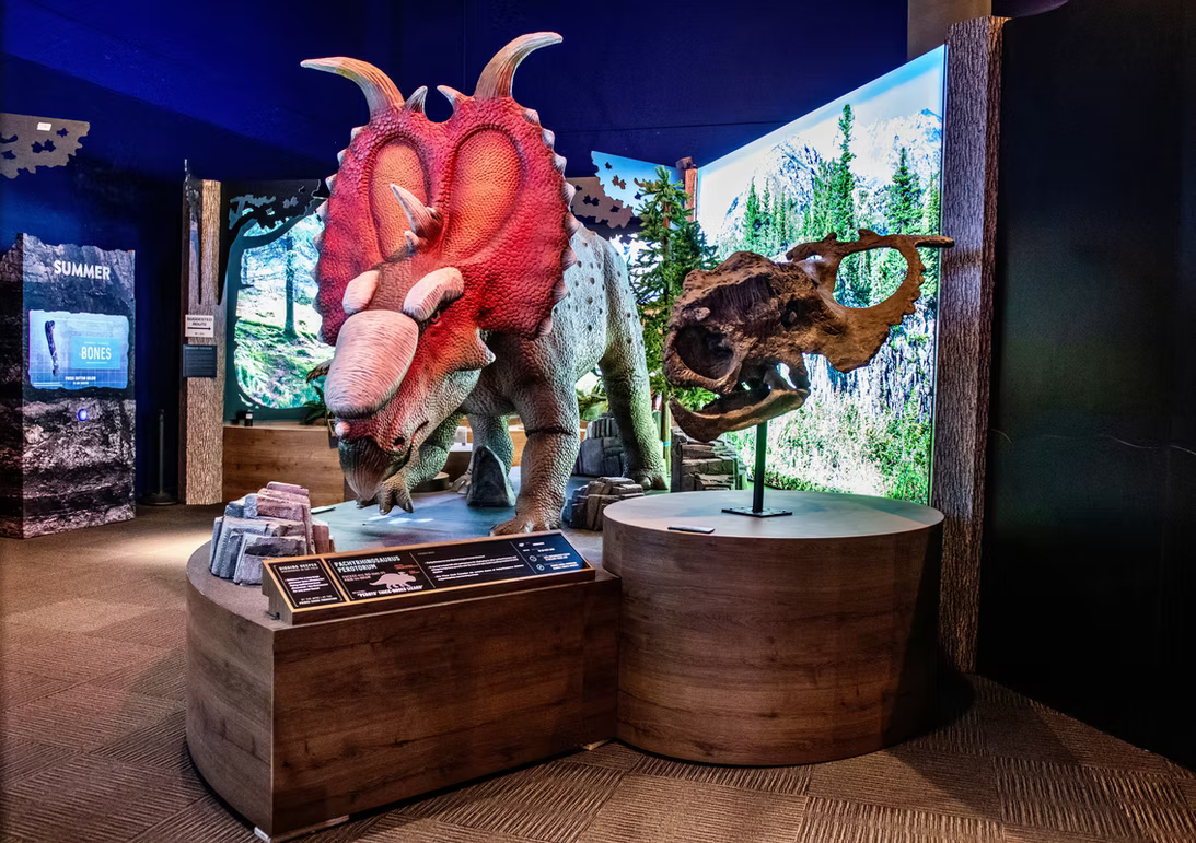 Don Harrington Discovery Center