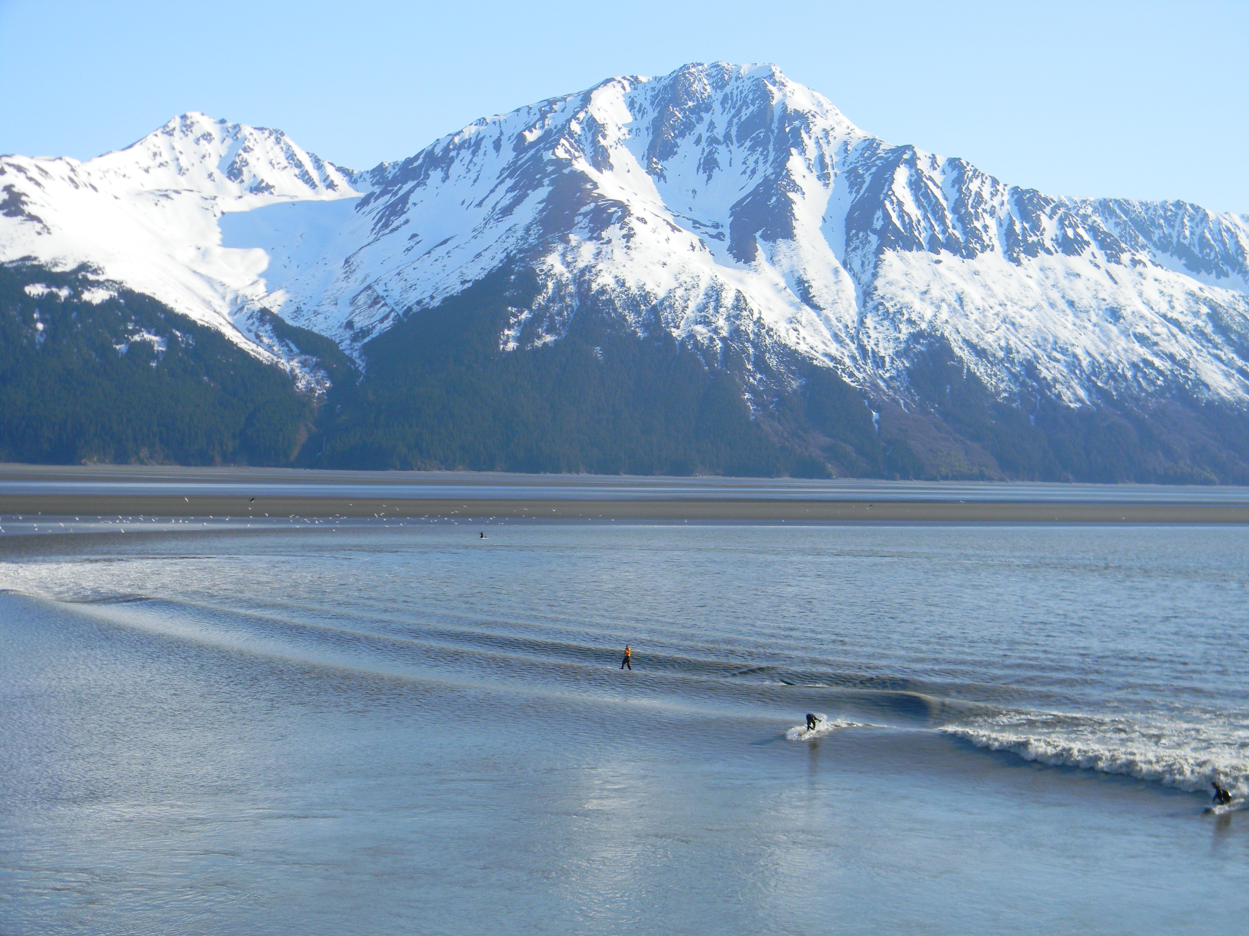greatland tobacco alaska Foods Greatland Adventures | Travel Alaska