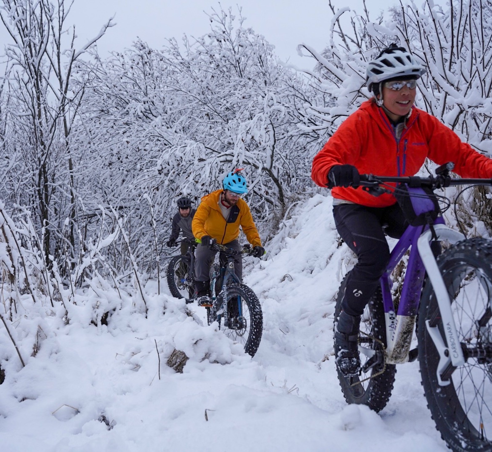 alaska bike adventures