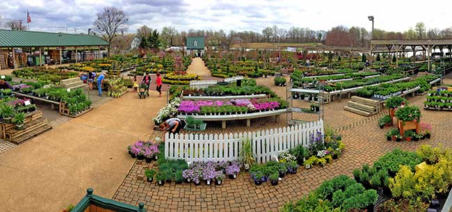 Homestead Gardens in Davidsonville Maryland: A Floral Haven