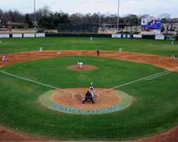 Arlington Stadium, The Texas Rangers, and Me —