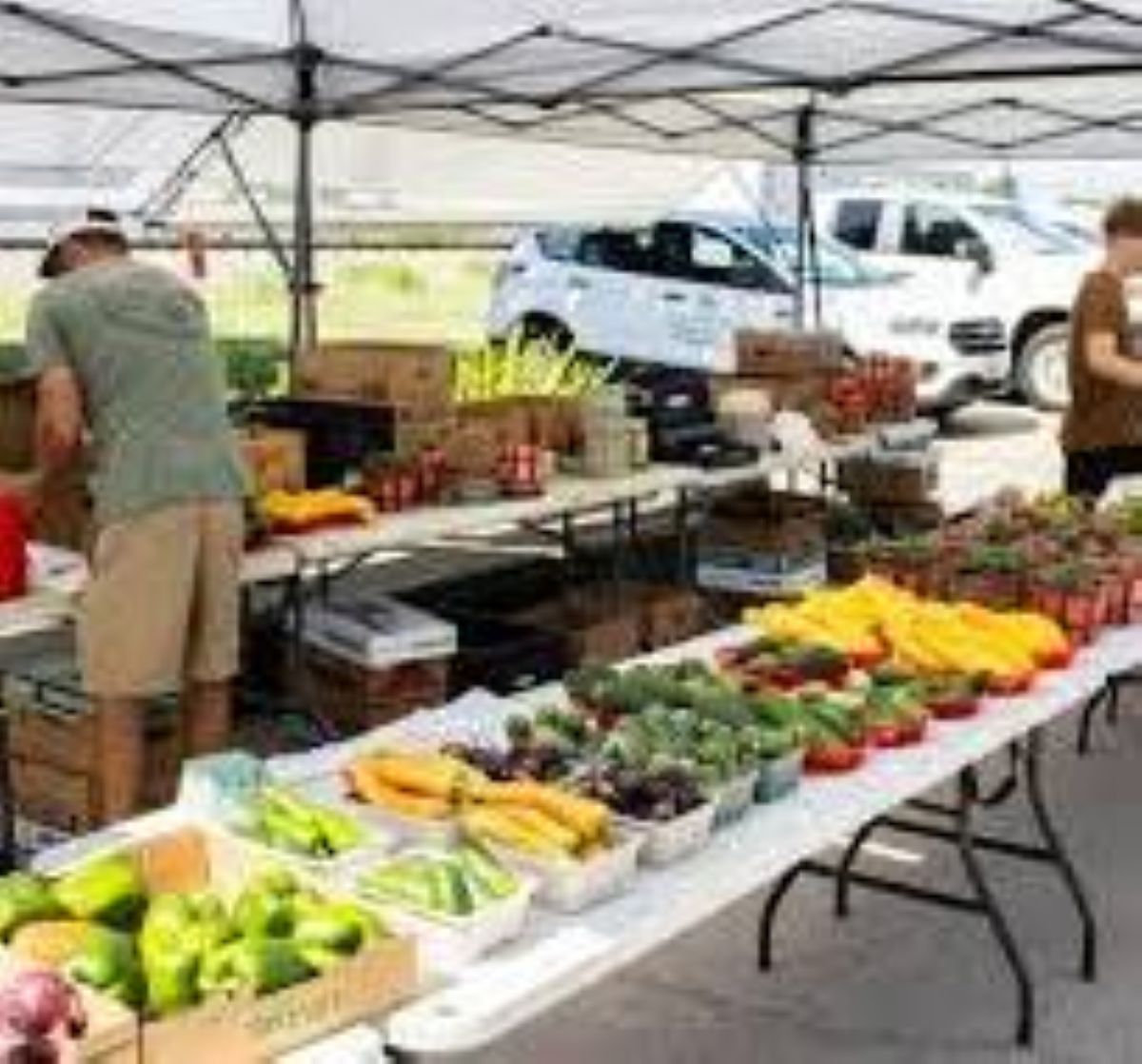 Downtown Arlington Farmers Market