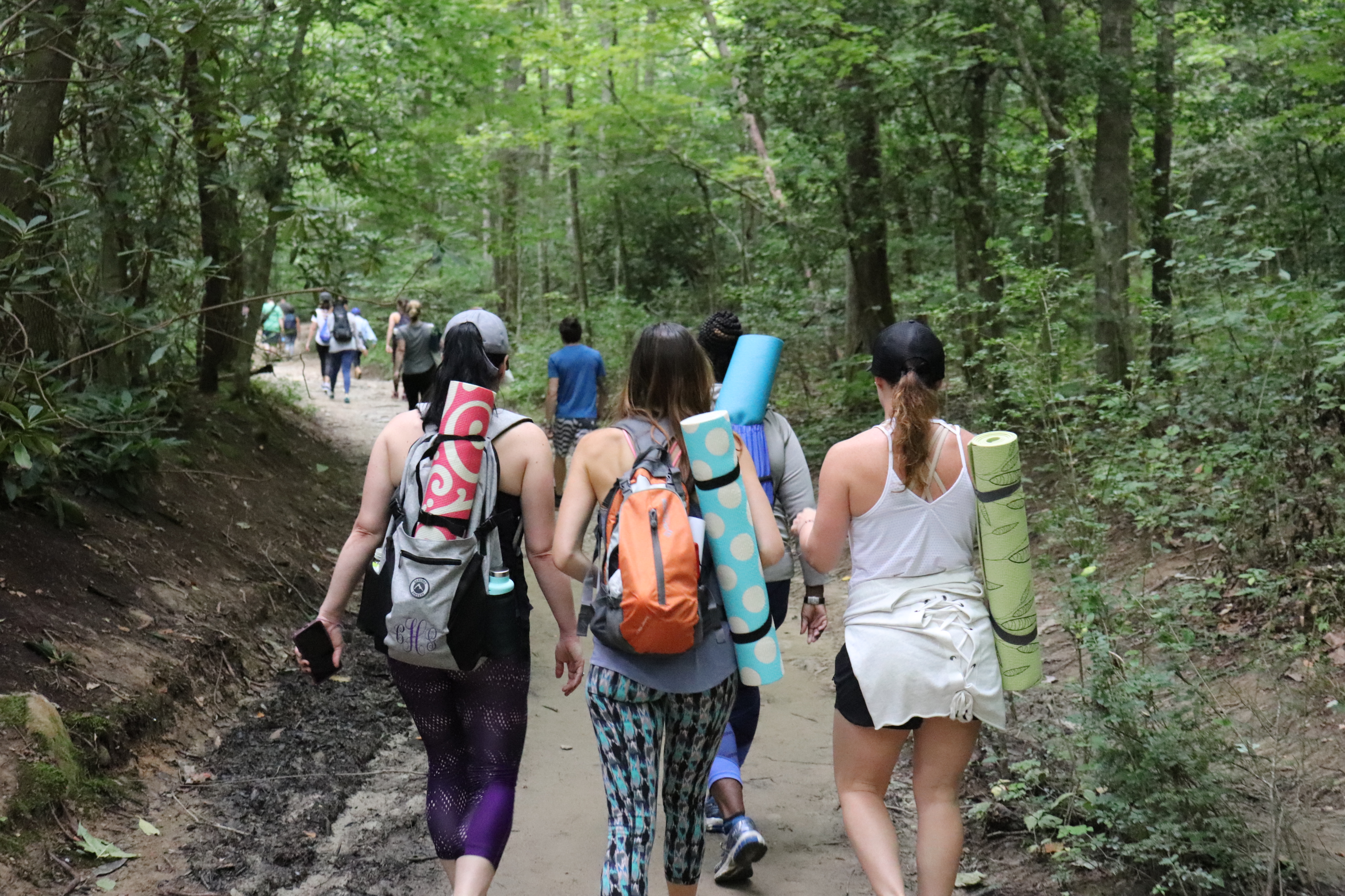 Asheville Hiking Yoga Meditation Tours Retreats & More — Summer