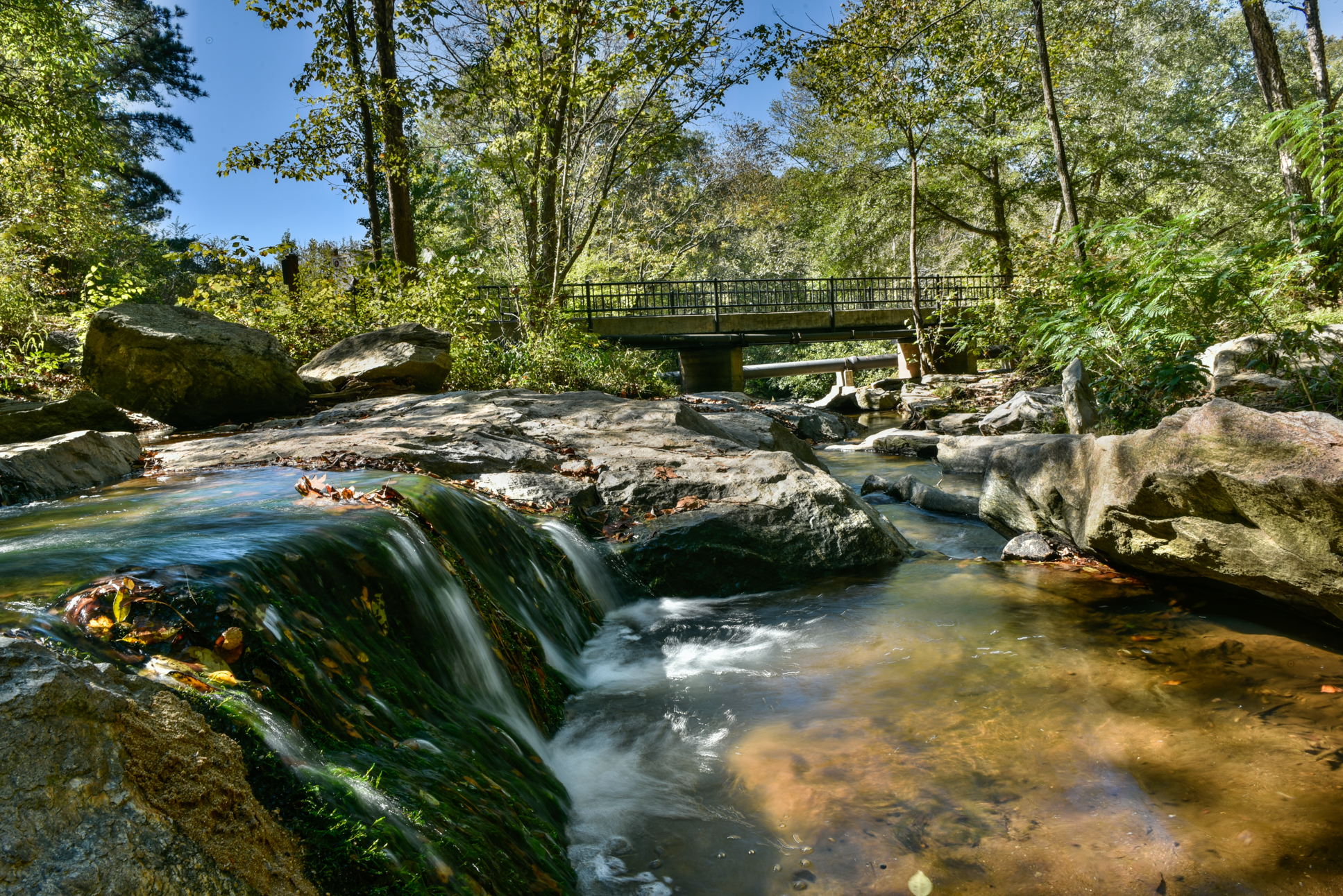 Ben Burton Park