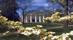 The Chapel