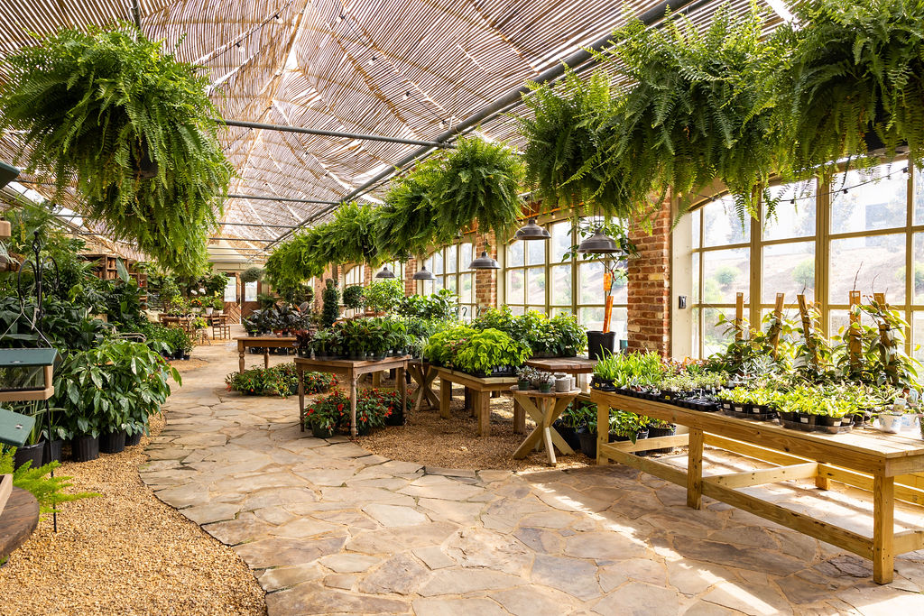 Botanic