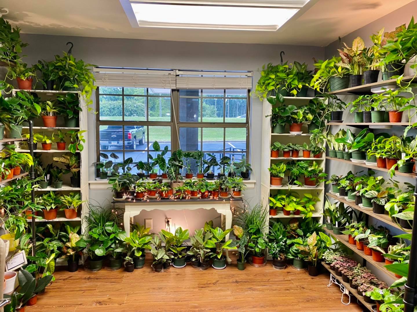 The Plant House, LLC