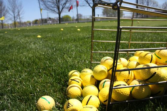 Wedges and Woods Driving Range