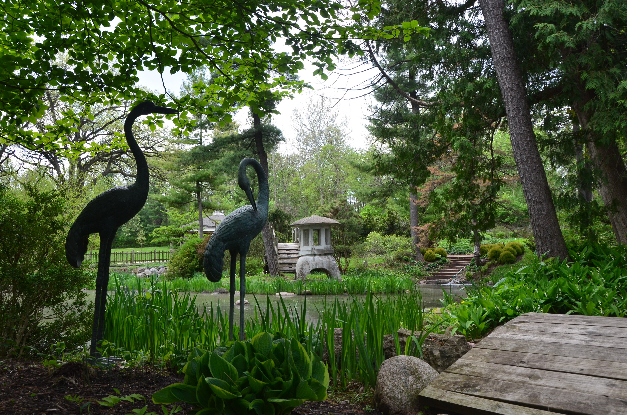Fabyan Villa Museum & Japanese Garden