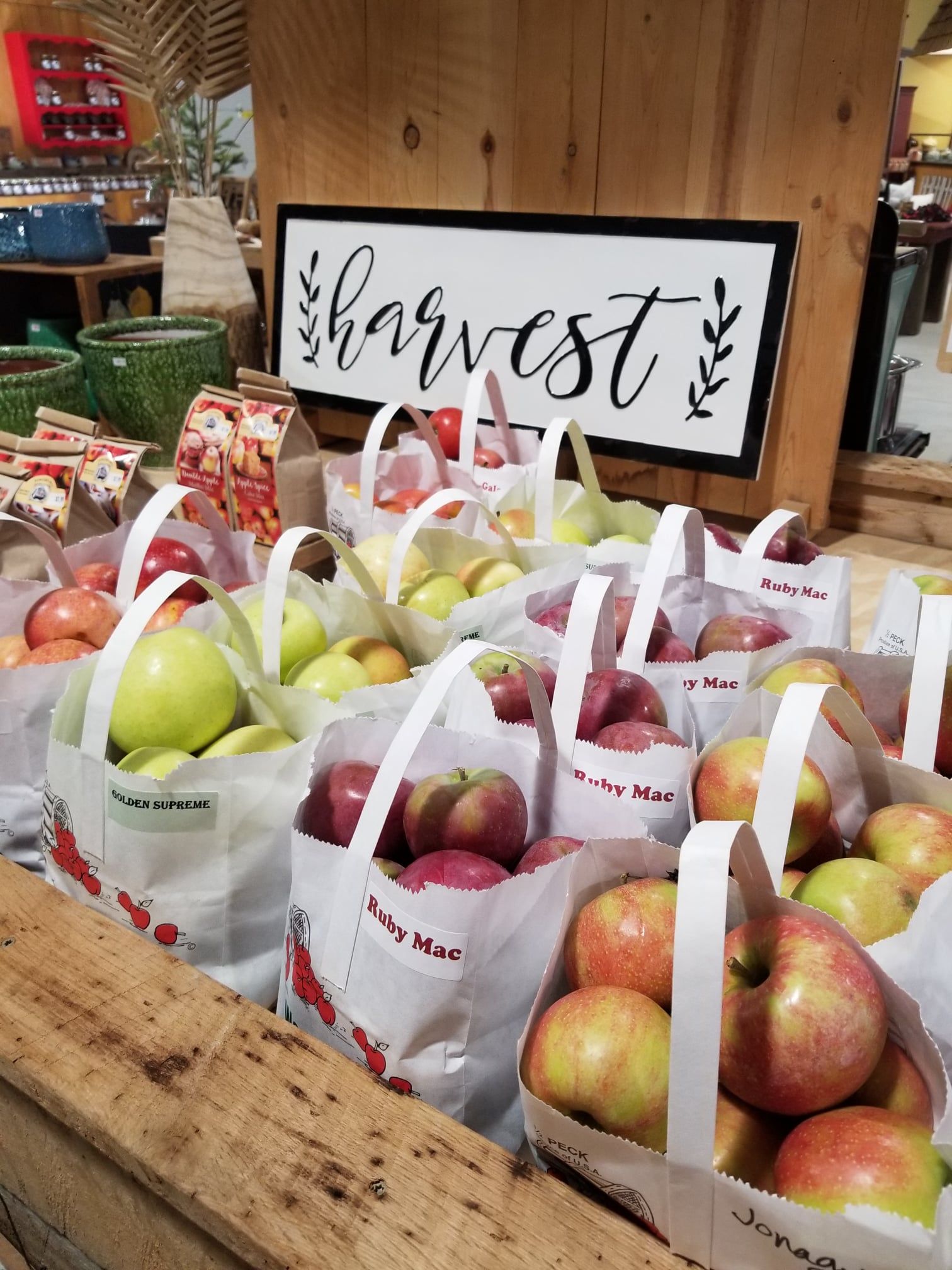 Woody Farm & Winery PorkyPink 2022 9本セット 蔵王ウッディファーム&ワイナリーアルバリーニョ[2023] | すべて