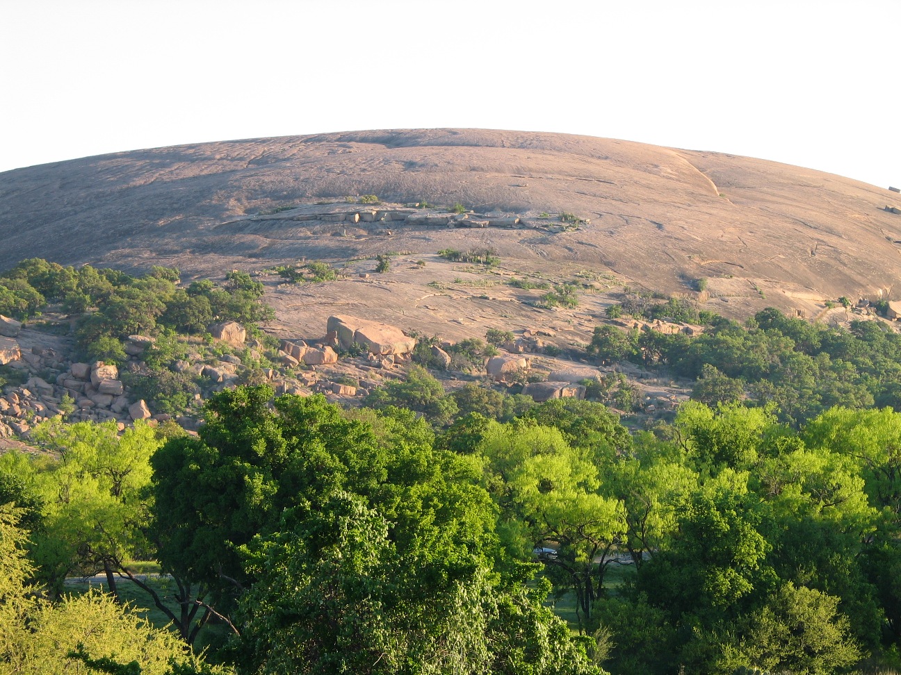 are dogs allowed at enchanted rock