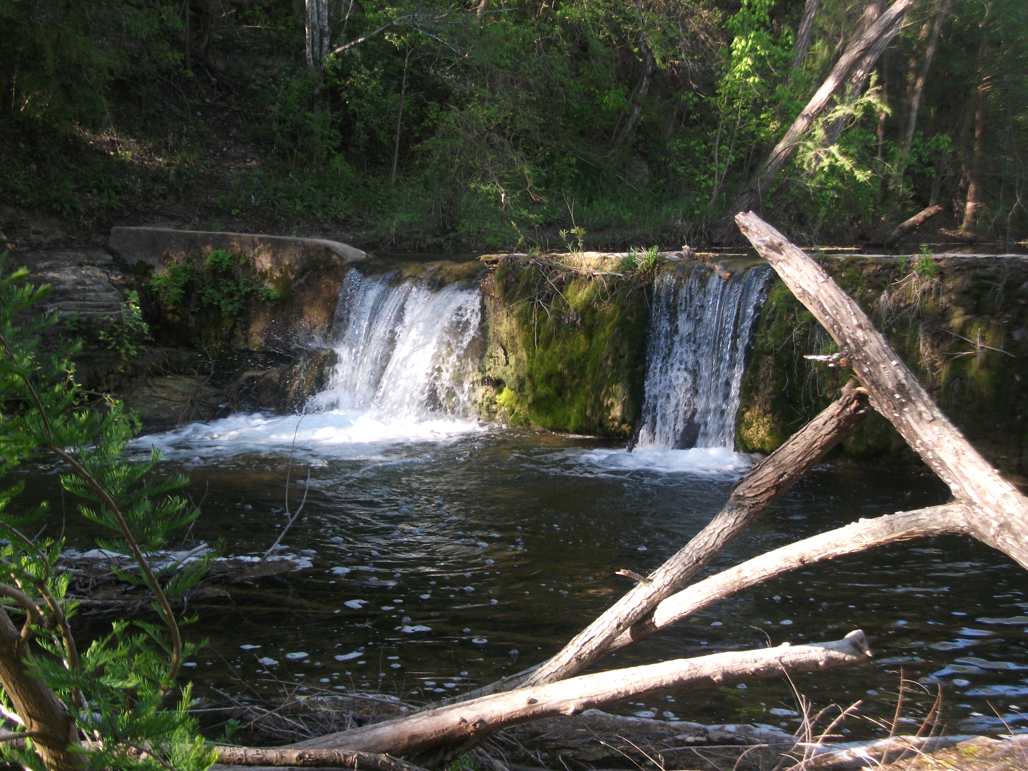 St. Edwards Greenbelt | Austin, TX