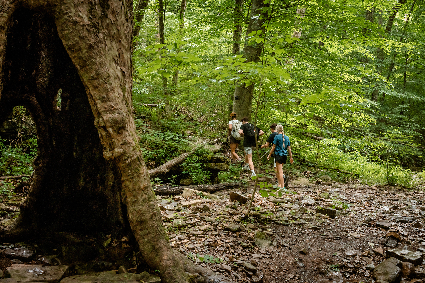 Third Sunday Nature Hike
