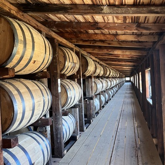 The Oak Experience: From Forest to Glass